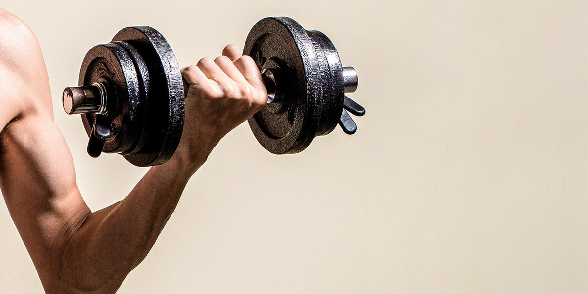 Maximizing Your Arm Workouts for Peak Growth - Vimexciter