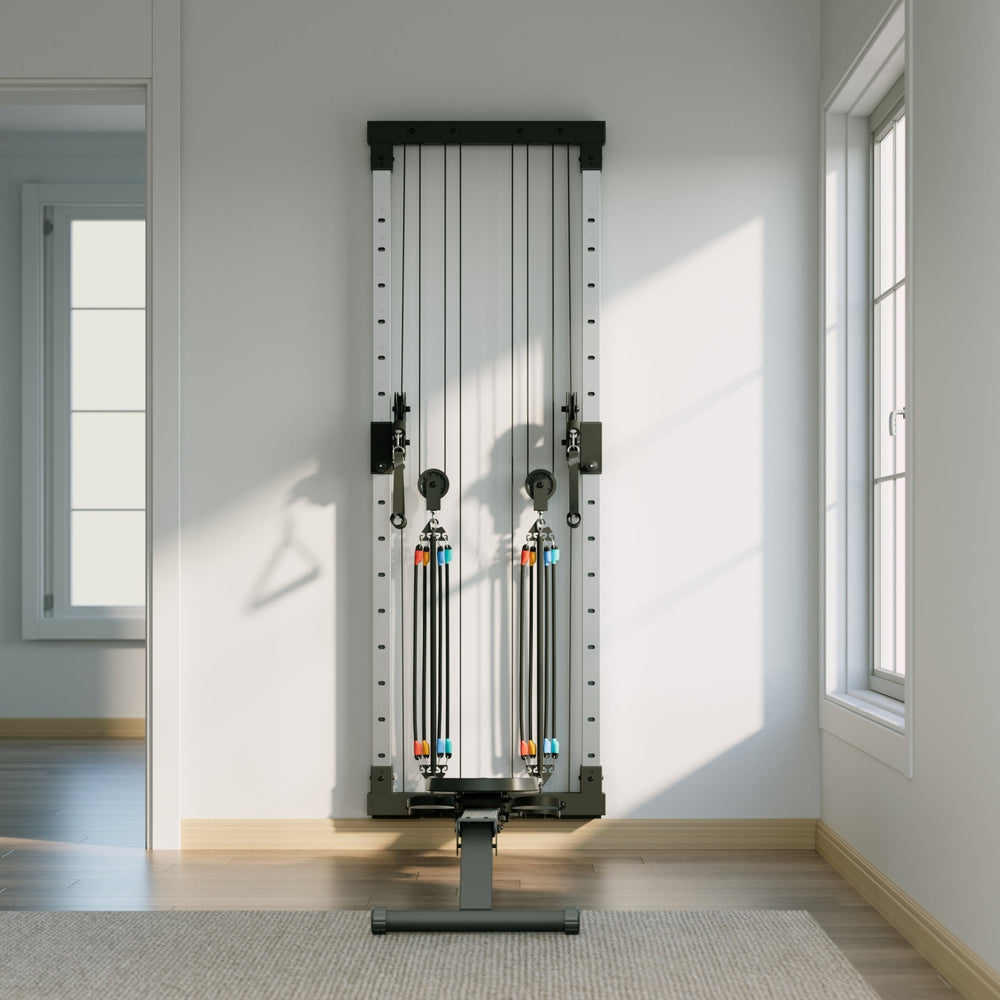Wall Mounted Rower Vimexciter MF05 | Pro Wall-Mounted Rower & Dual Pulley Cable Machine
