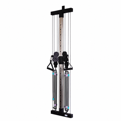 Vimexciter MF04 | Ultra-Slim Wall-Mounted Functional Trainer - Vimexciter